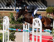 Minardi Gipsy Boy GioCav2013 S5 1962 : Campionati Italiani Giovani Cavalli, Cattolica, Gipsy Boy, Minardi Claudio, ph Stefano Secchi ©
